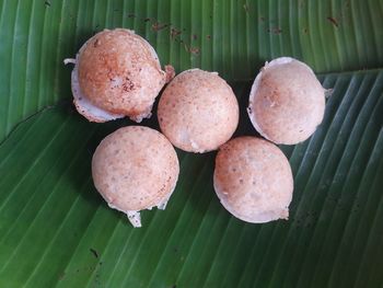 High angle view of bread on leaf