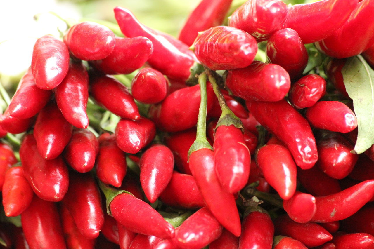 FULL FRAME SHOT OF RED BERRIES