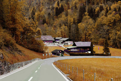 Road amidst trees and mountains during autumn