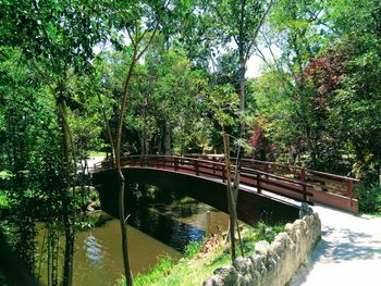 Bridge over river in forest