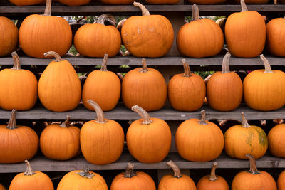 Pumpkins for sale at market