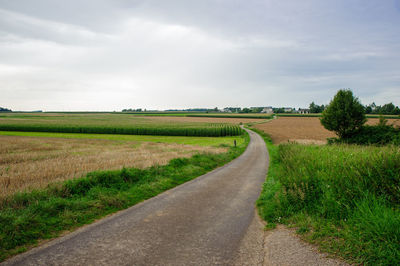 Road amidst agricultural field against sky