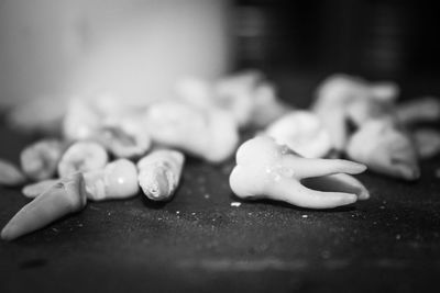 Close-up of food on table