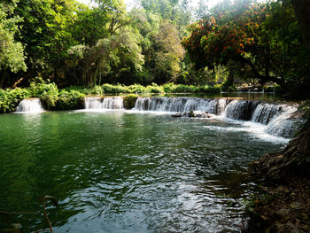 Scenic view of waterfall in forest