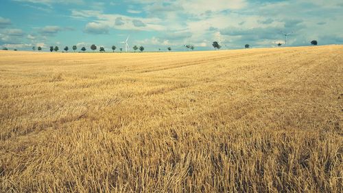 Scenic view of field stubble against sky