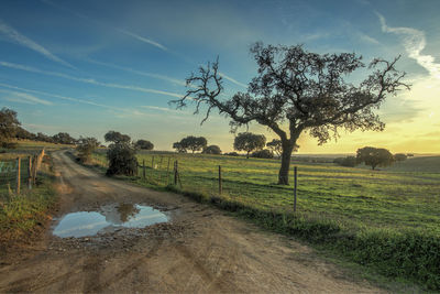 Scenic view of field against sky during sunset