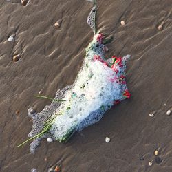 High angle view of sand on beach