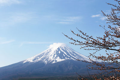 Low angle view of snowcapped mountain against sky