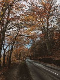 Empty road along trees in forest