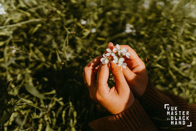Close-up of hand holding fruit