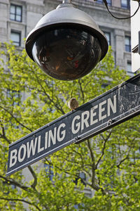 Close-up of information sign on plant in city