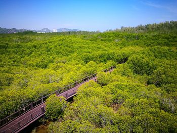 High angle view of railroad tracks by trees against sky