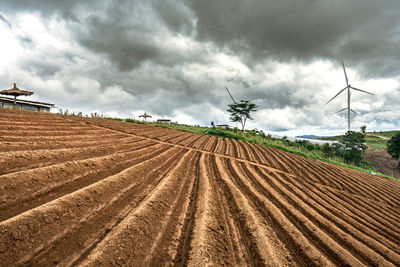 Scenic view of agricultural field against sky