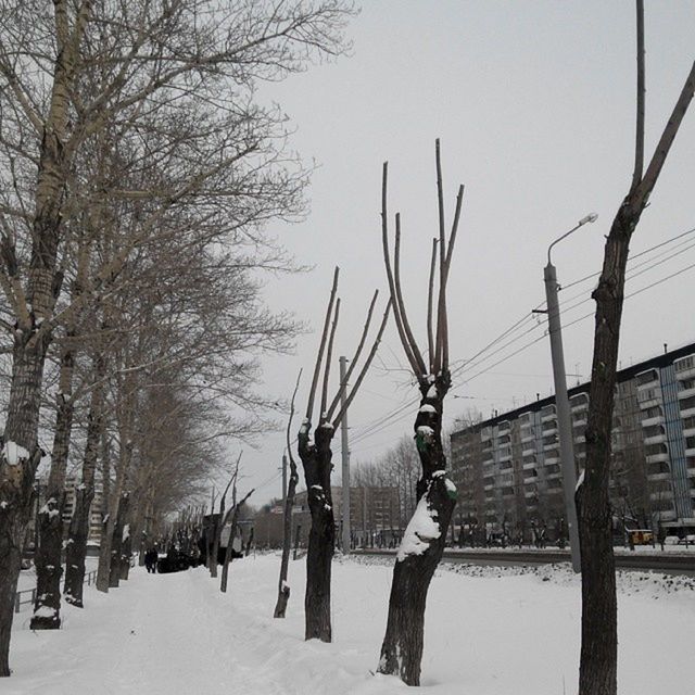 snow, winter, cold temperature, season, weather, bare tree, covering, tree, frozen, building exterior, built structure, architecture, clear sky, walking, covered, day, nature, outdoors