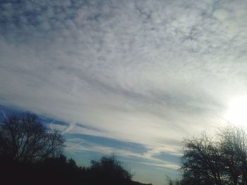 Low angle view of trees against cloudy sky