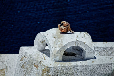 Man sitting on rock by sea