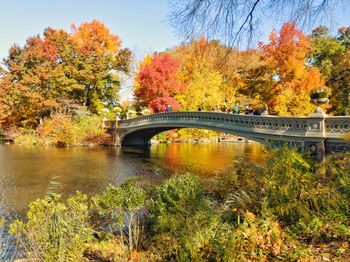 Bridge over river against trees during autumn