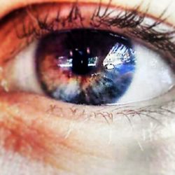 human eye