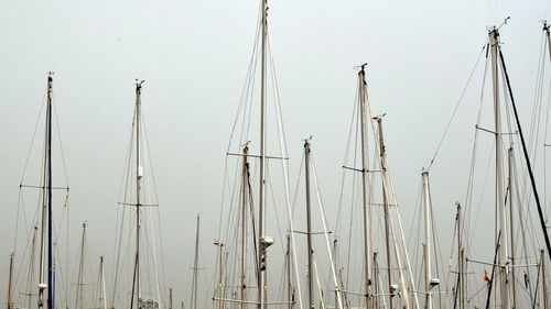 Sailboats sailing in sea against clear sky