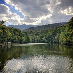 Scenic view of lake in forest against sky