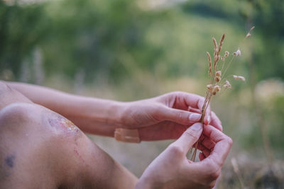 Cropped hand of woman holding plant