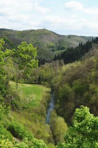 Scenic view of green landscape against sky