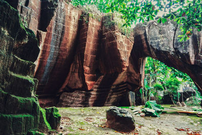 Rock formations in a forest