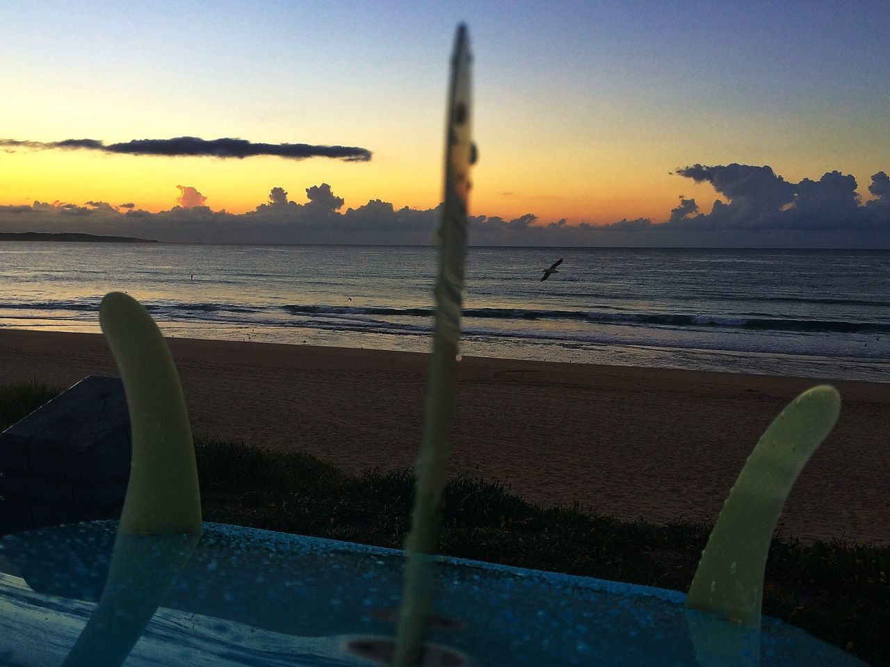 North Cronulla Beach