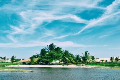 Scenic view of palm trees by sea against sky