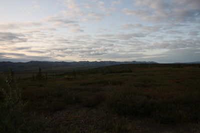 Scenic view of field against sky during sunset