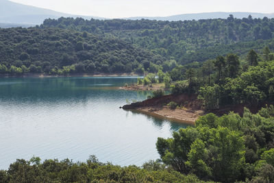 High angle view of river amidst trees in forest