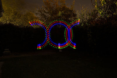 Illuminated light painting on tree at night