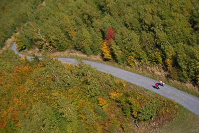 High angle view of road amidst trees in forest