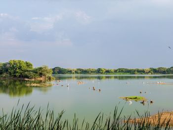 Scenic view of lake against sky
