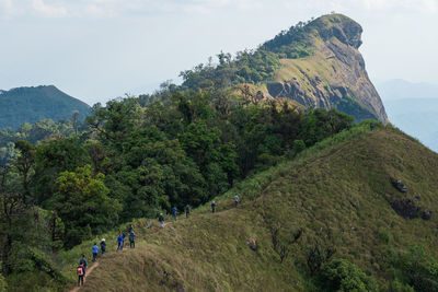 Group of travellers hiking to the top of mountain