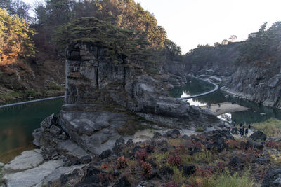 nature