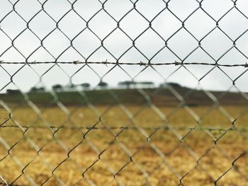 Field seen through chainlink fence