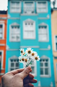 Close-up of hand holding flower against building