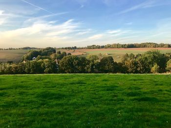 Scenic view of field against sky
