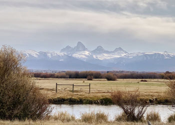 Scenic view of field and mountains against sky