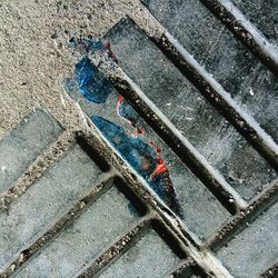 Close-up high angle view of paving stone