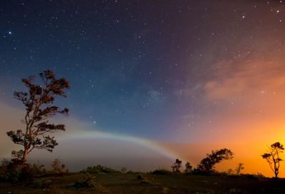 Trees on landscape against star field at night