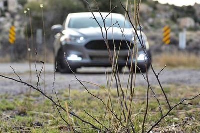 Close-up of car