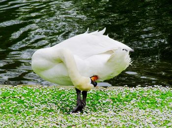 Close-up of white background