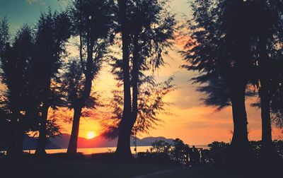 Silhouette trees against sky during sunset