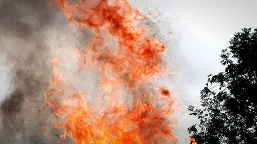 Low angle view of fire on tree against sky