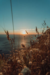 Scenic view of sea against sky during sunset