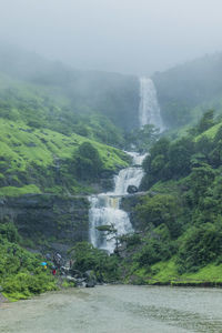 Scenic view of waterfall