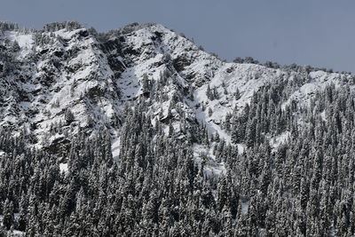 Low angle view of snowcapped mountains against sky