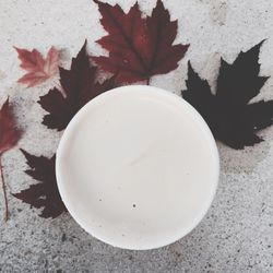 High angle view of autumn leaves